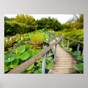 Lily Pond Poster