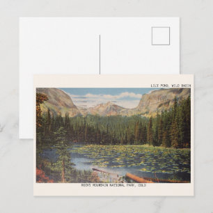 LILY POND WILD BASIN, COLORADO Wildtiergeschenke Postkarte