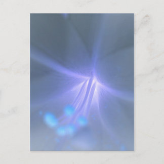 Lily Postcard invertieren Postkarte