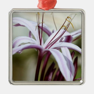 Lily Silbernes Ornament