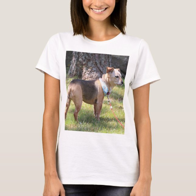 Lily T-Shirt (Vorderseite)