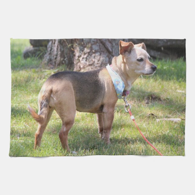 Lily Towel Geschirrtuch (Horizontal)