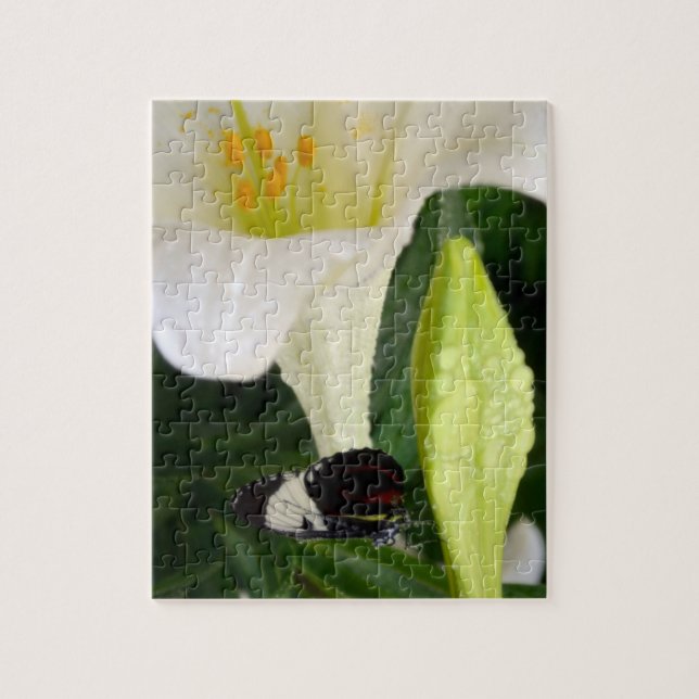 Lily und Butterfly (Vertikal)