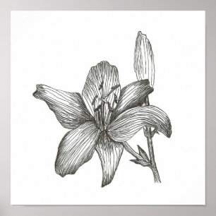 Lily Zeichnend von Julia Morrill Print Poster