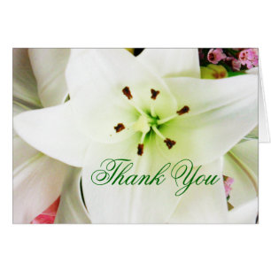 Lilys Blanches_