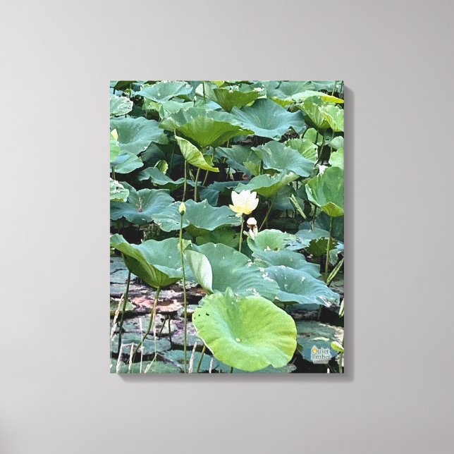 Lilyshade Silence 16 x 20 Leinwanddruck (Vorderseite)