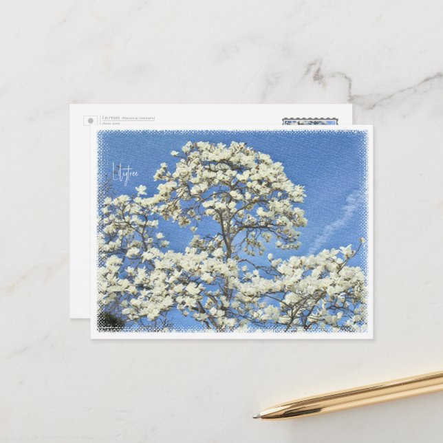 Lilytree Postkarte (Vorderseite/Rückseite Beispiel)