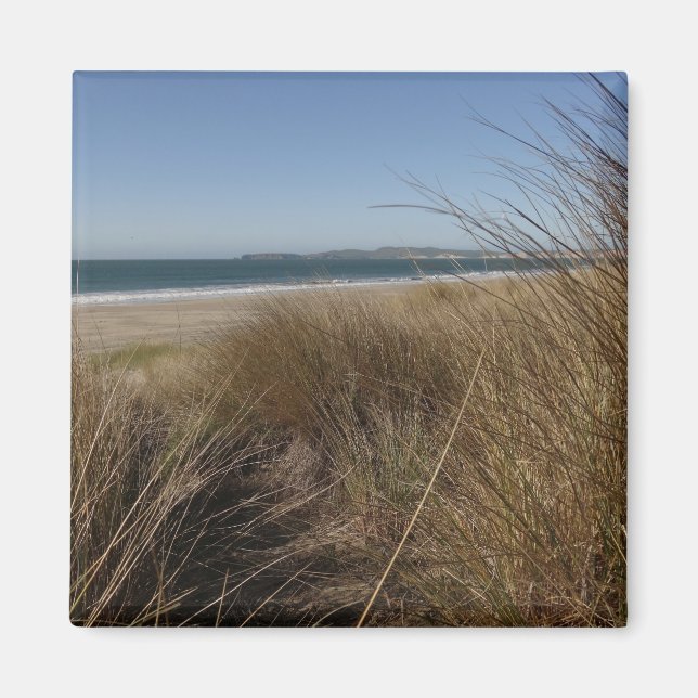 Limantour Beach am Point Reyes National Seashore I Magnet (Vorne)