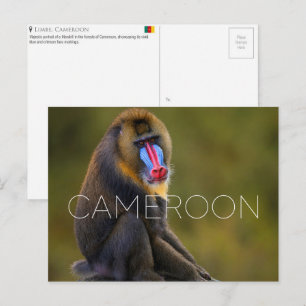 Limbe Wildlife, Kamerun Reise-Postkarte Postkarte