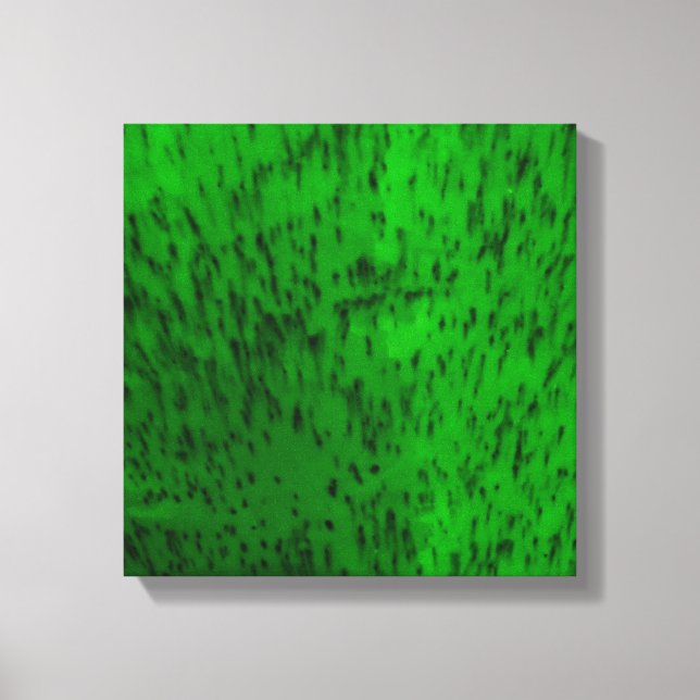 Lime Green Earthenware Leinwanddruck (Vorderseite)