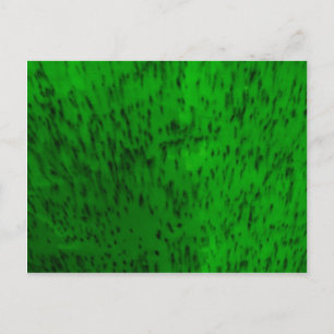 Lime Green Earthenware Postkarte