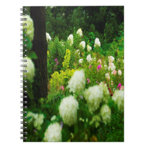 Limelight Hortensien in meinem Rubio-Garten Notizblock