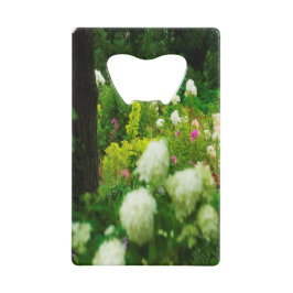 Limelight Hydrangeas dans My Rubio Garden