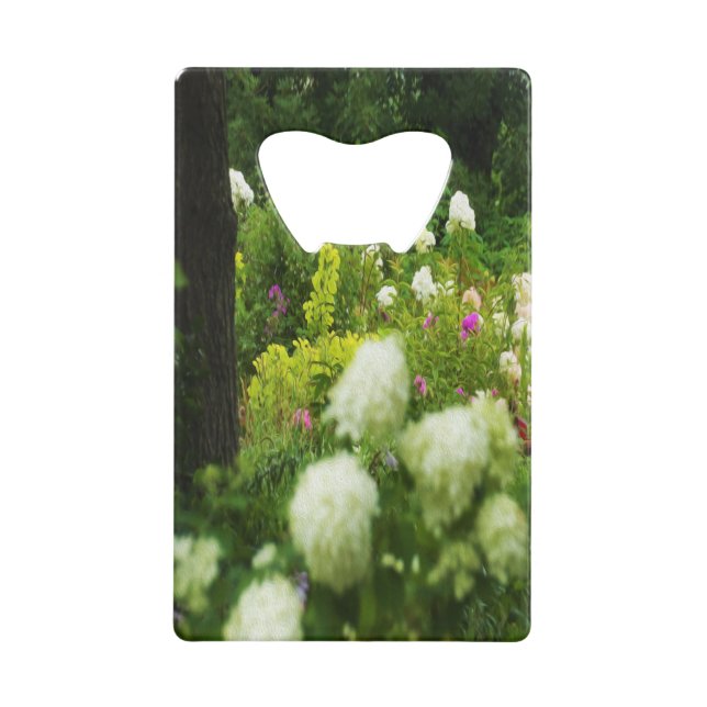 Limelight Hydrangeas dans My Rubio Garden (Devant)