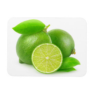 Limes Magnet
