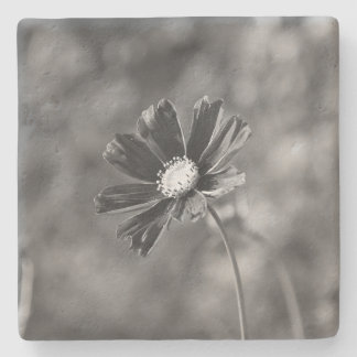 Limestone Coasters square Photography  Steinuntersetzer