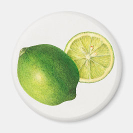 Limette Magnet