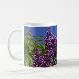 Limetten, reales lila Bild, blauer Himmel, violett Kaffeetasse