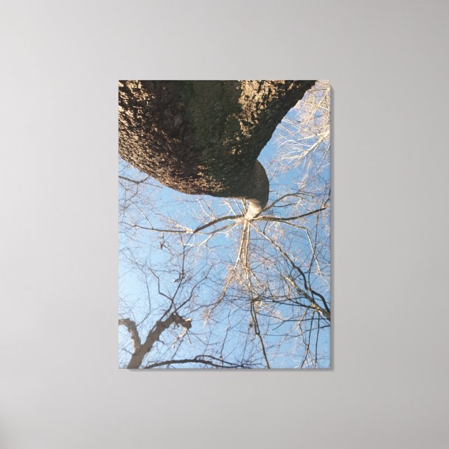 Limit Leinwanddruck (Vorderseite)