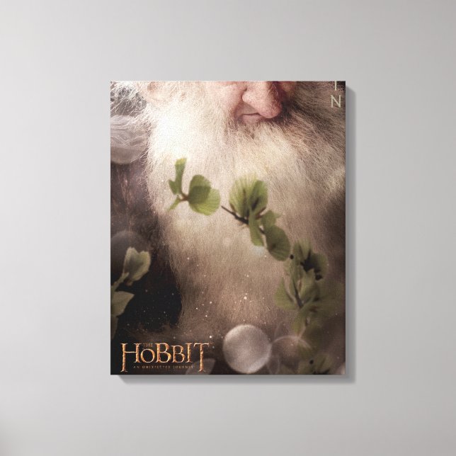 Limitierte Edition Artwork: Balin Leinwanddruck (Vorderseite)
