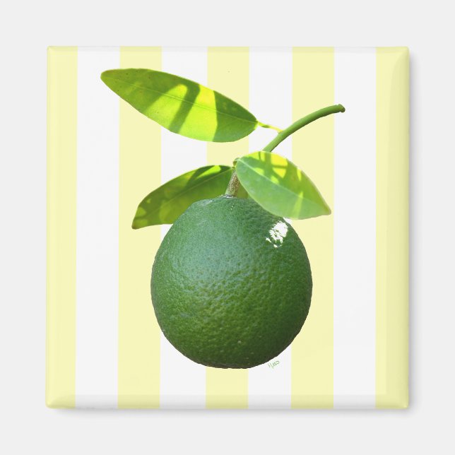 Limon Magnet (Vorne)