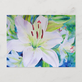 Limon Zest Postkarte