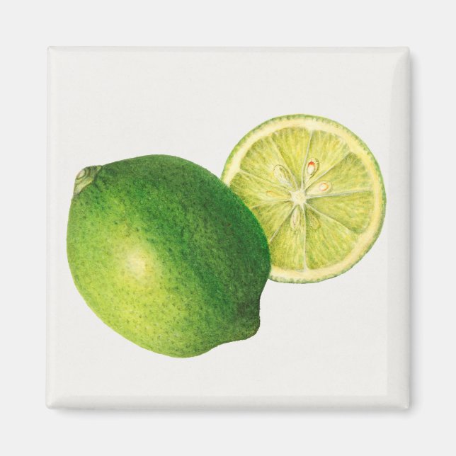 Limone Magnet (Vorne)