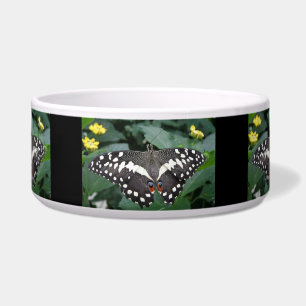 Limoner Schmetterling und Blume Hundeschale Napf