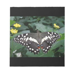 Limoner Schmetterling und Blume Notepad Notizblock