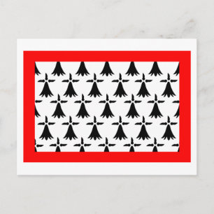 Limousin-Flagge Postkarte