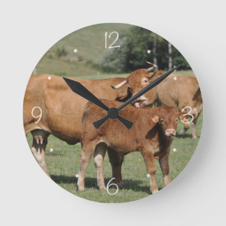 Limousin Kuh leckt ihr Kalb Runde Wanduhr