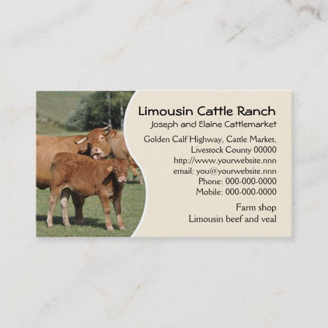 Limousin-Rinderfarm oder -ranch Visitenkarte (Vorderseite)