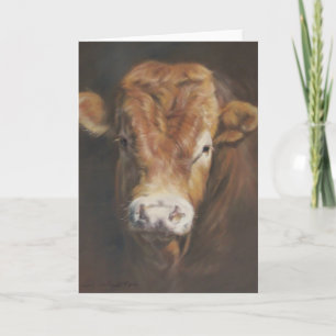 Limousin Stier Karte