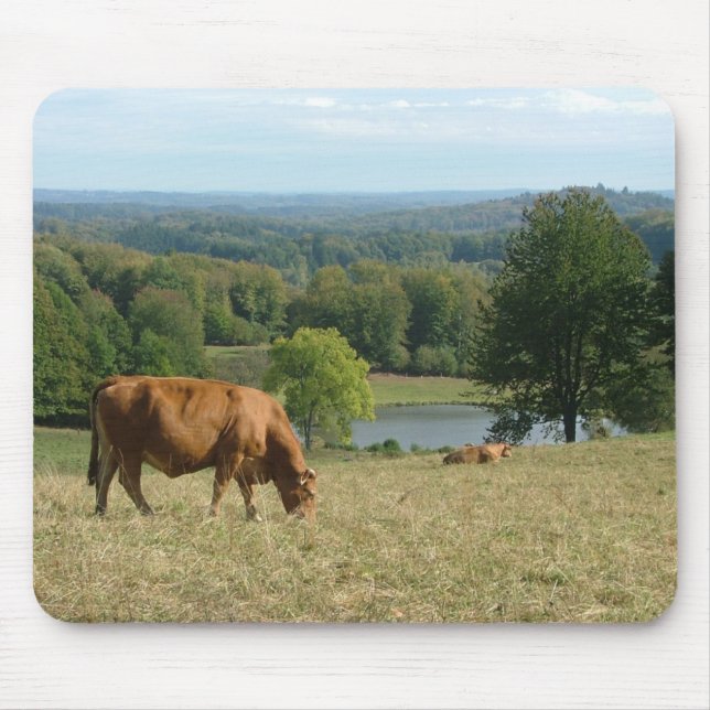 Limousin-Vieh im Creuse Mousepad (Vorne)