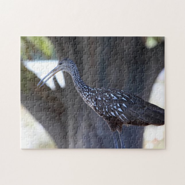 Limpkin (Horizontal)