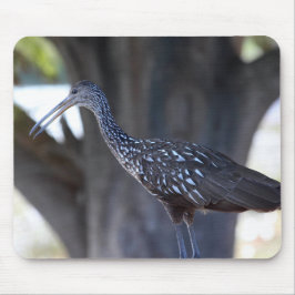 Limpkin Mousepad