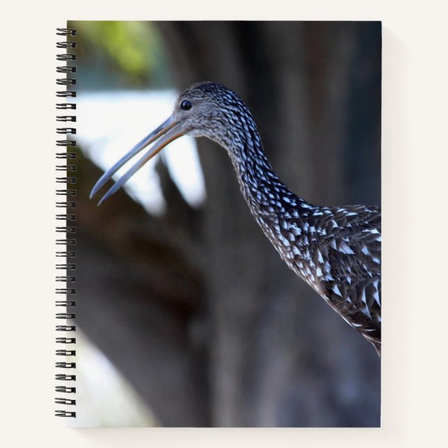 Limpkin, The Crying Bird Notizbuch (Vorderseite)