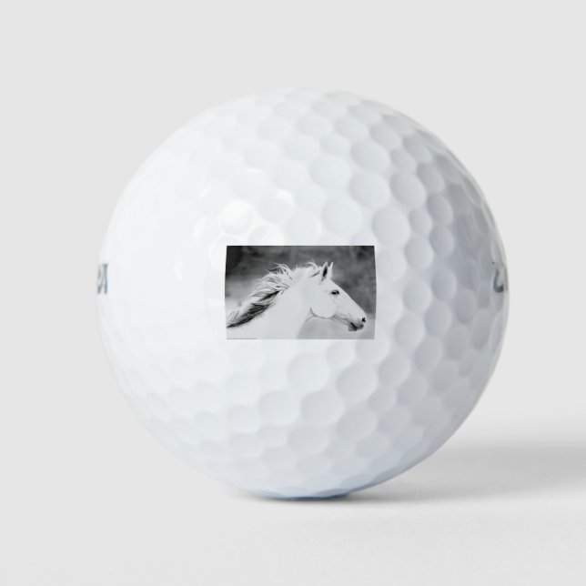 LIN26BW Mane in the Wind.tif Golfball (Vorderseite)