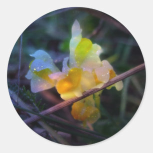 Linaria Runder Aufkleber