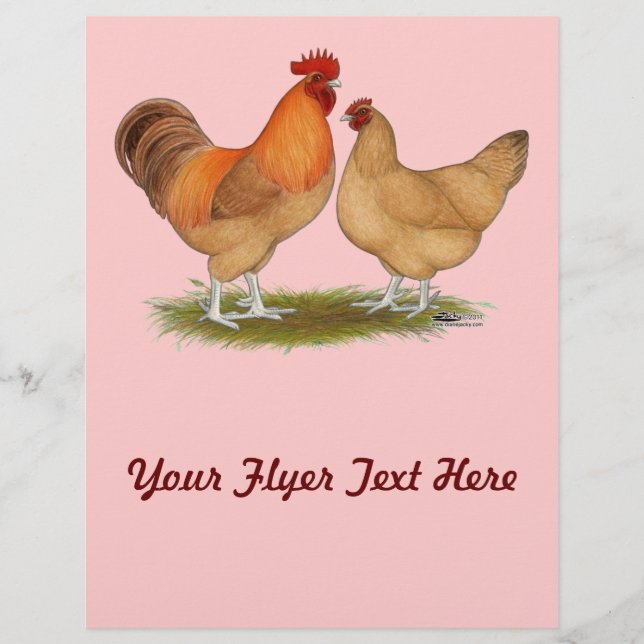 Lincolnshire Buff Chickens Flyer (Vorne)