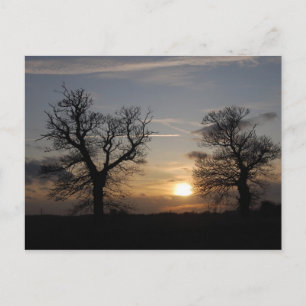 Lincolnshire Sunset Postkarte
