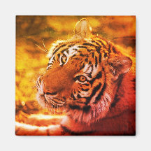 Linda Expressão de Tigre Deitado.