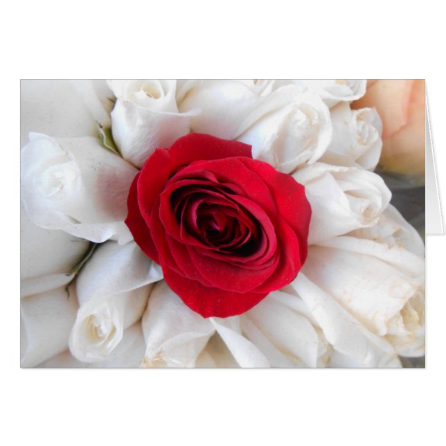 Lindegren (Vorderseite (Horizontal))