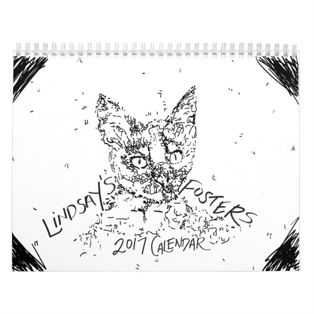 Lindsay 2017 Pflegekätzchen-Kalender Kalender (Titelbild)