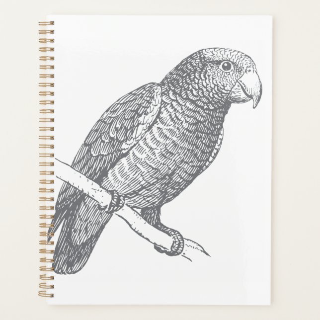 Line Art of Parrot (Gray) Fine Art Planer (Vorderseite)