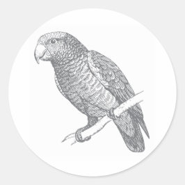 Line Art of Parrot (Gray) Fine Art Runder Aufkleber