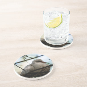 Line Master Untersetzer