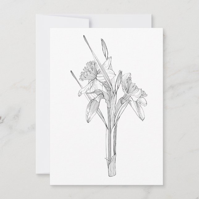 Line Sketch Daffodils Bouquet. Ankündigung (Vorderseite)