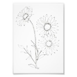 Lines & Petals Fotodruck