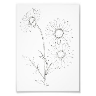 Lines & Petals Fotodruck